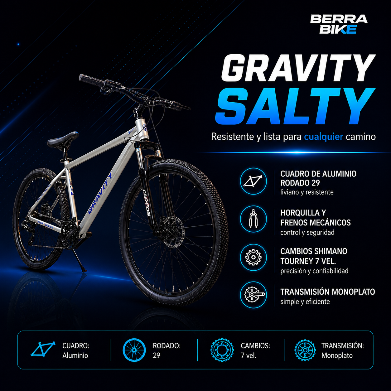 Gravity Salty - Berra Bike